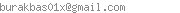 PAPARA Mail