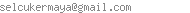 Paypal Mail